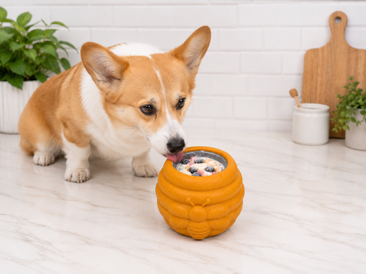 freezable dog treat ideas with yogurt blueberries and honey jar dog enrichment toy