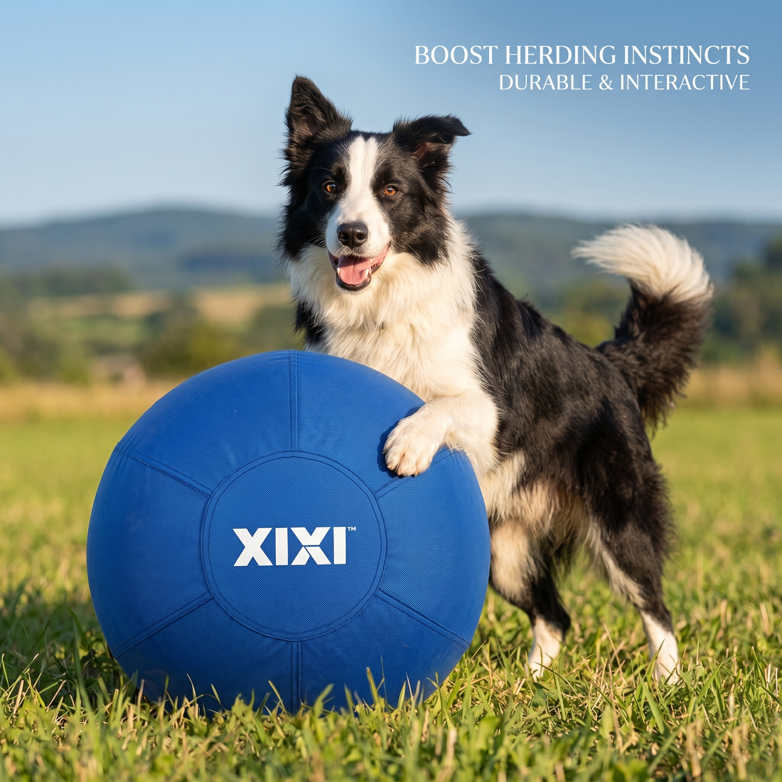 dog enrichment toys for bored dogs including lick bowl honey jar and herding ball