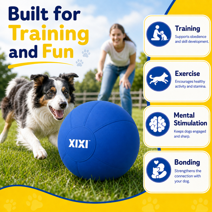 inflatable herding ball with fabric outer cover