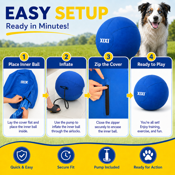dog pushing a large ball outdoors