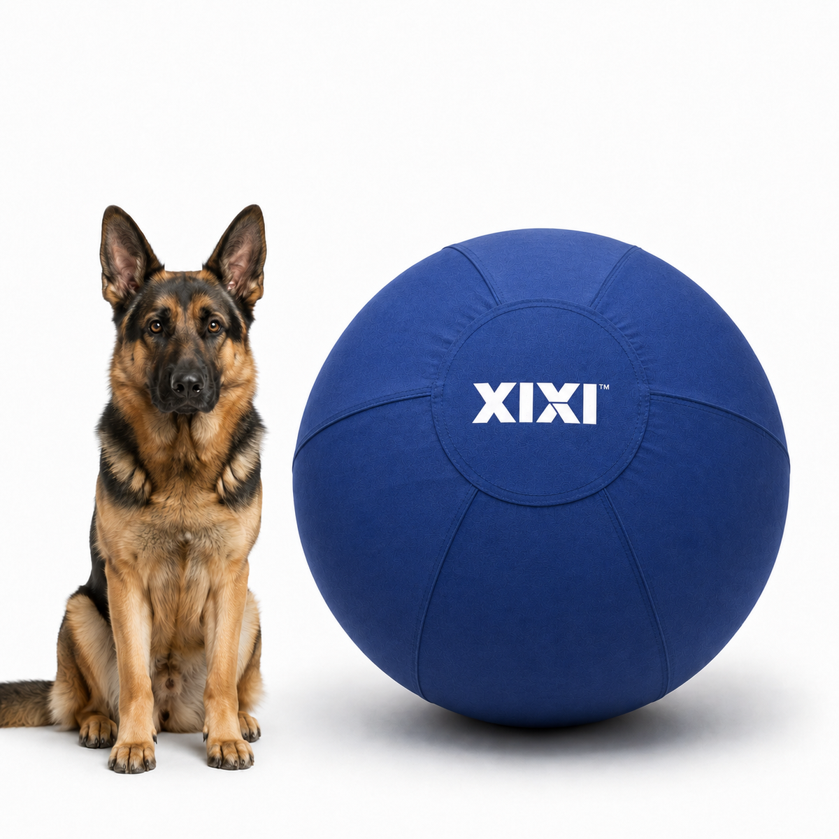 Large Herding Ball for Active Dogs