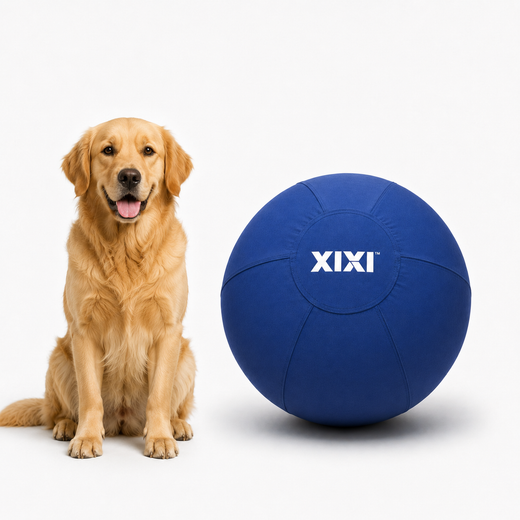 22" Medium active dogs
