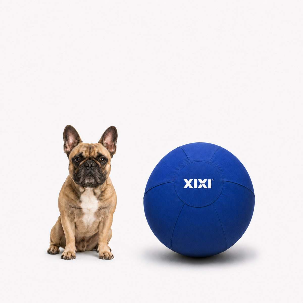 Large Herding Ball for Active Dogs