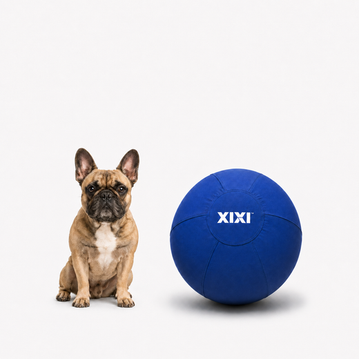 18" Small to medium dogs