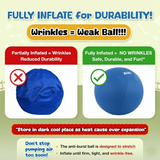 XIXI Pelota Grande de Pastoreo de 63.5 cm para Perros, Juguete Interactivo de Ejercicio para Pastores Australianos y Border Collies, Juguete Duradero de Entrenamiento y Juego al Aire Libre