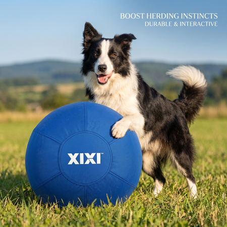 Herding Ball