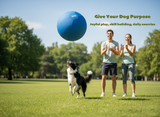 XIXI Pelota Grande de Pastoreo de 63.5 cm para Perros, Juguete Interactivo de Ejercicio para Pastores Australianos y Border Collies, Juguete Duradero de Entrenamiento y Juego al Aire Libre