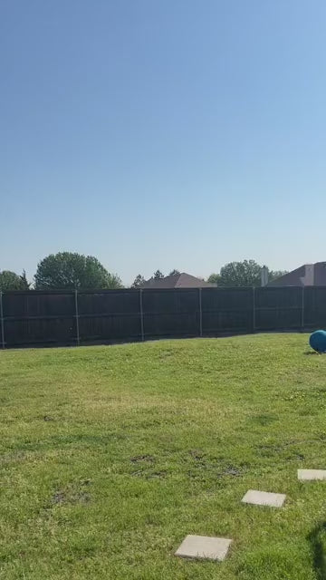 Dog video cover