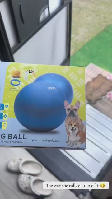 Dog video cover