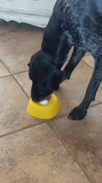 Dog video cover