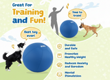 XIXI Pelota Grande de Pastoreo de 63.5 cm para Perros, Juguete Interactivo de Ejercicio para Pastores Australianos y Border Collies, Juguete Duradero de Entrenamiento y Juego al Aire Libre